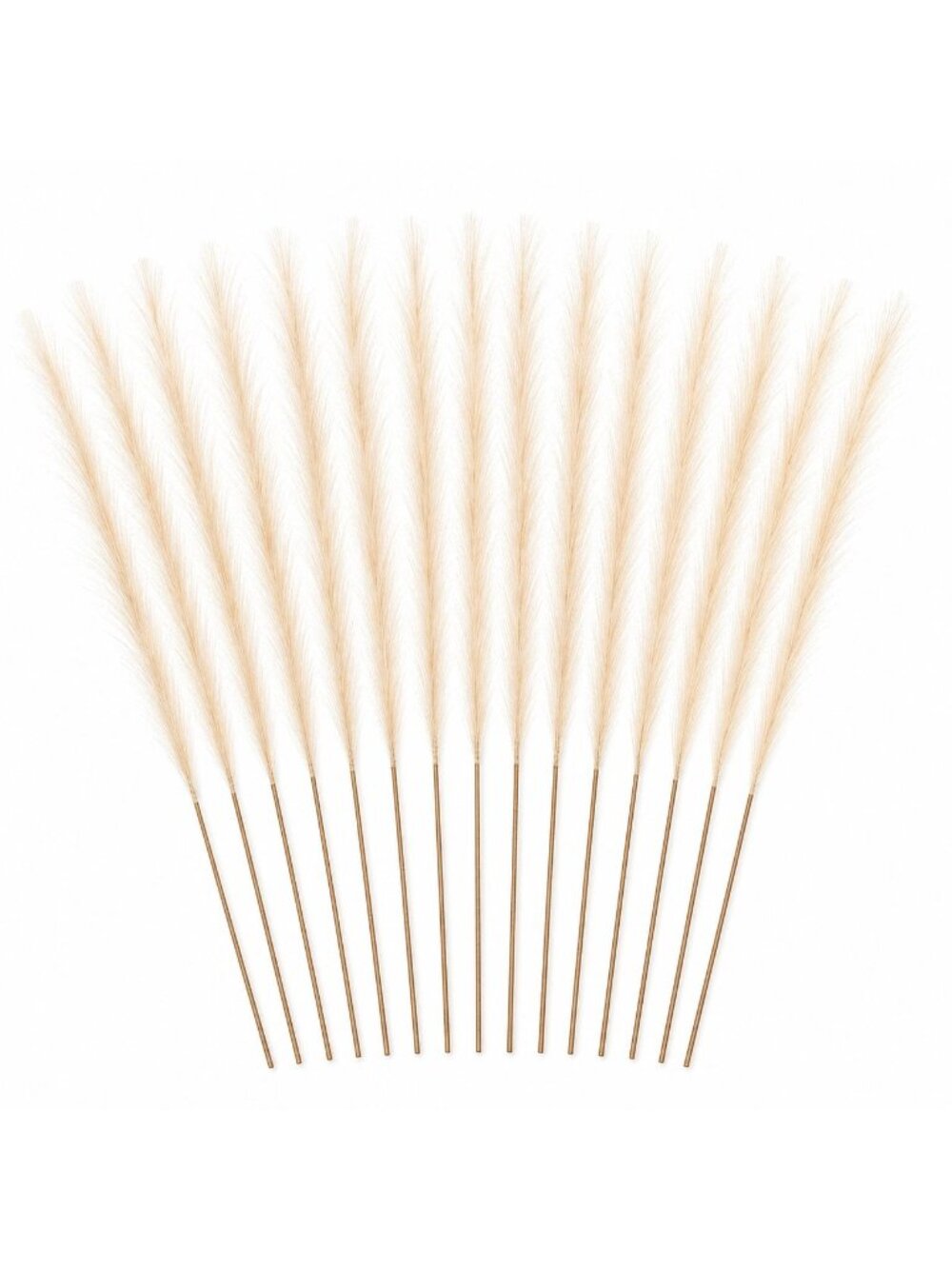 Ivory Artificial Pampas Grass Stems Set of 16, 31 Inch Faux Plumes for Tall Vase
